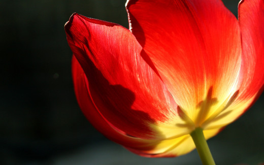 488976 (a): :2560x1600
